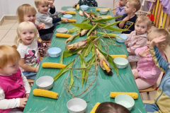 547441793_1314330614038139_3815019047306394199_n