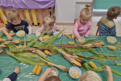 549431554_1314330574038143_7388716212549962230_n